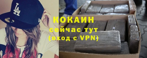 гашик Россошь