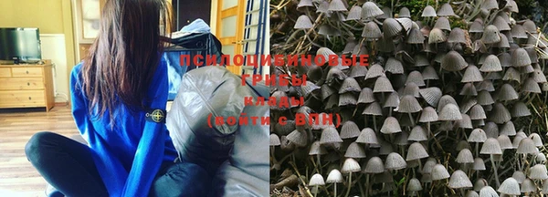 марки nbome Приозерск