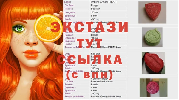 СК Протвино
