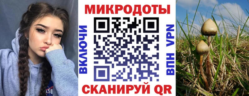 Галлюциногенные грибы MAGIC MUSHROOMS Северская