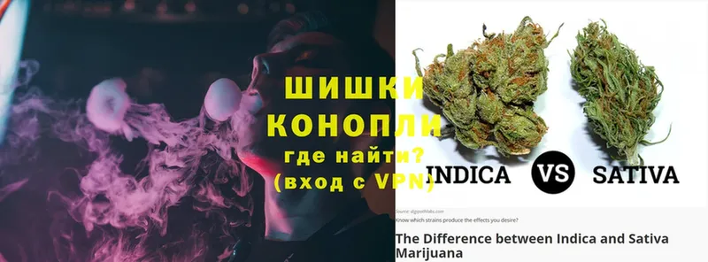 Шишки марихуана Ganja  Северская 